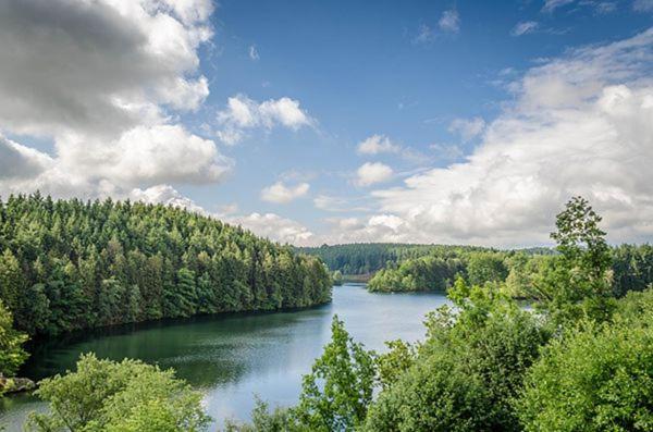 Le Gagnage 31 Pers- Malmedy, Rustique, Vue, Wellness Villa Kültér fotó